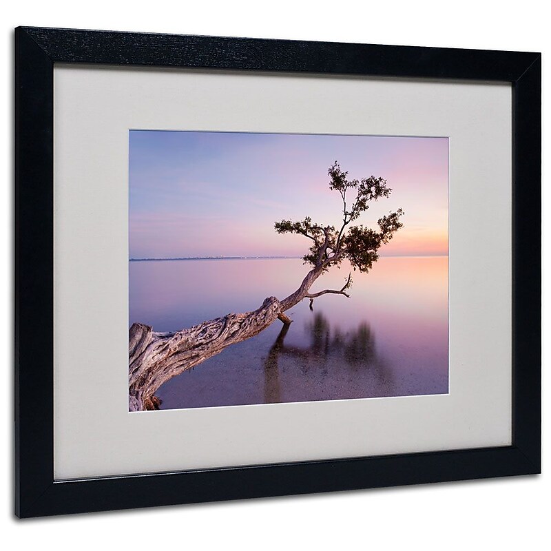 Trademark Fine Art 'Water Tree XV' 16" x 20" Black Frame Art image 1