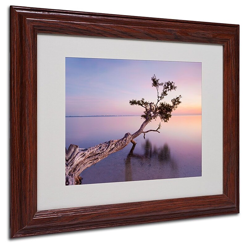 Trademark Fine Art 'Water Tree XV' 11" x 14" Wood Frame Art image 1