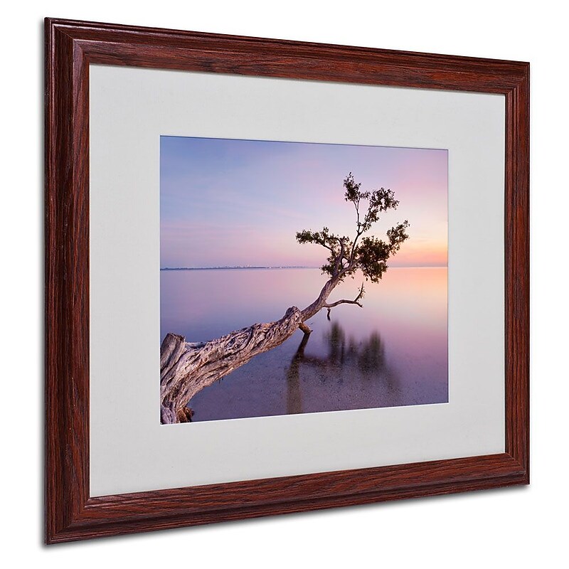 Trademark Fine Art 'Water Tree XV' 16" x 20" Wood Frame Art image 1