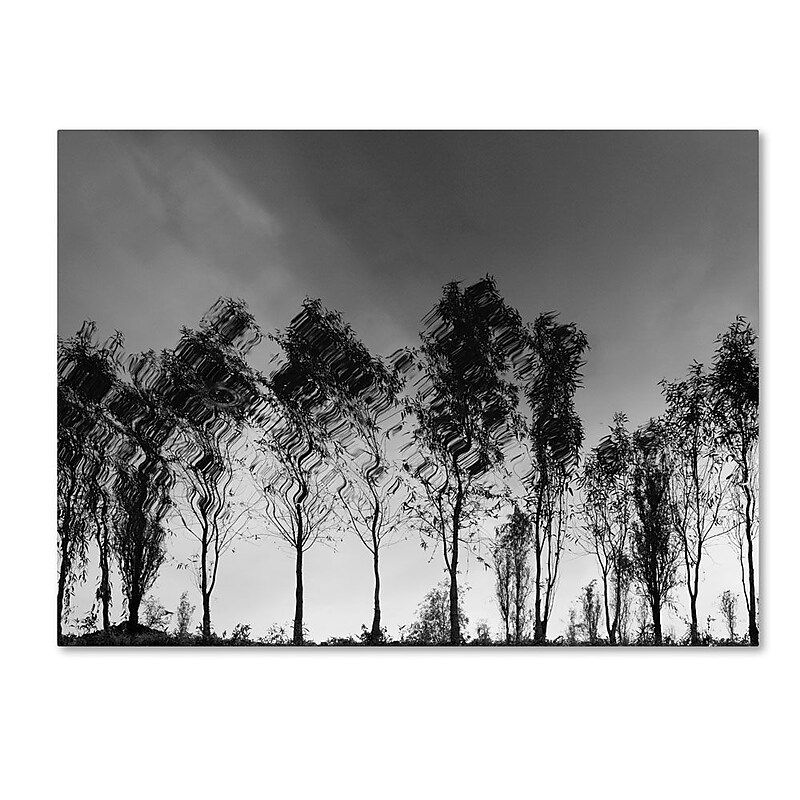 Trademark Fine Art 'Xochimilco' 16" x 24" Canvas Art image 1