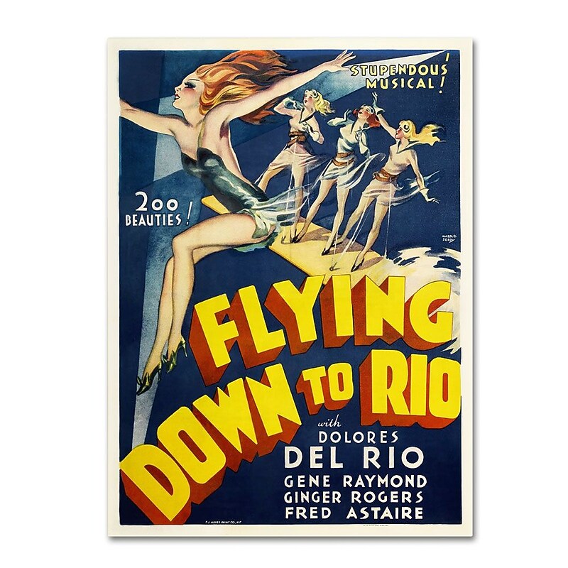 Trademark Fine Art 'Flying Down to Rio' 18" x 24" Canvas Art image 1