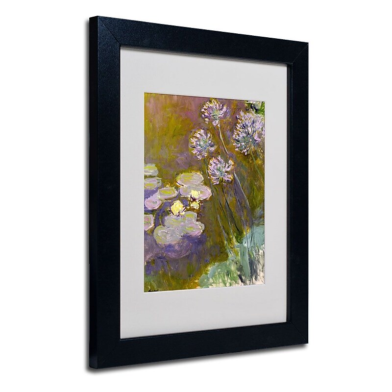 Trademark Fine Art 'Waterlilies and Agapanthus' 11" x 14" Black Frame Art image 1