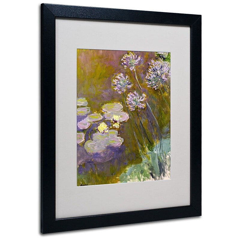 Trademark Fine Art 'Waterlilies and Agapanthus' 16" x 20" Black Frame Art image 1