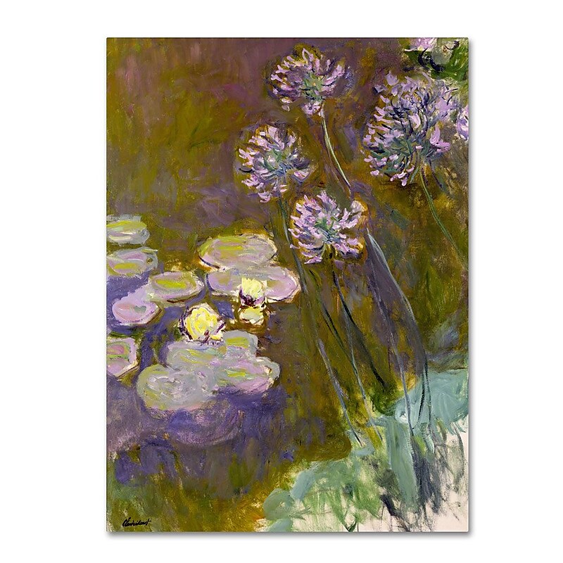 Trademark Fine Art 'Waterlilies and Agapanthus' 35" x 47" Canvas Art image 1