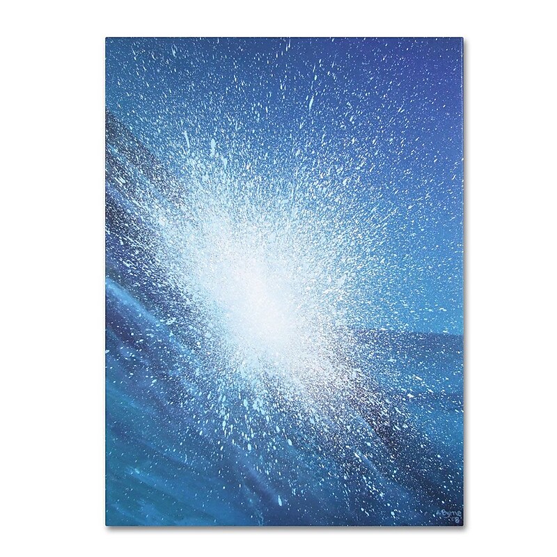 Trademark Fine Art 'Sea Picture VI' 14" x 19" Canvas Art image 1