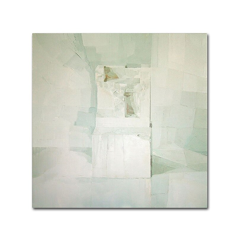 Trademark Fine Art 'White' 14" x 14" Canvas Art image 1