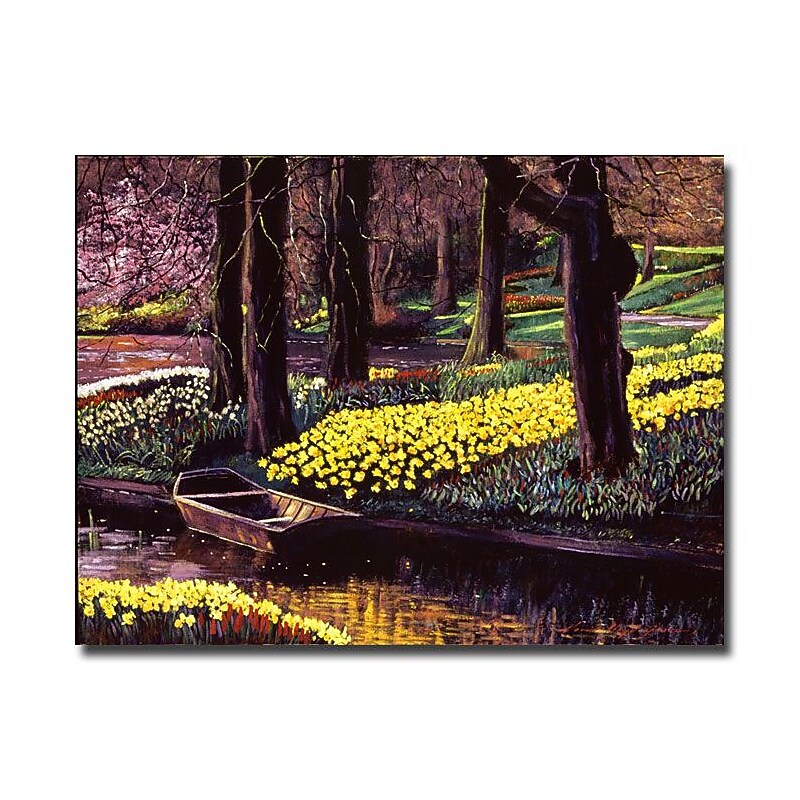 Trademark Fine Art 'Daffodil Park' 26" x 32" Canvas Art image 1