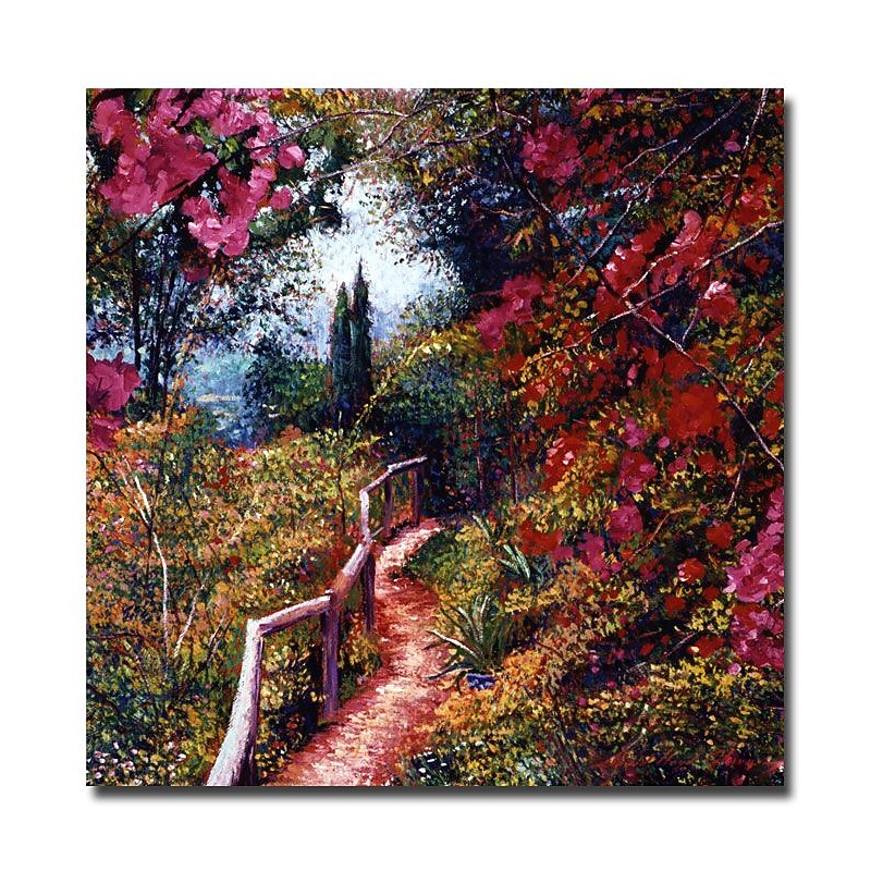 Trademark Fine Art 'Bougainvillea Trail' 35" x 35" Canvas Art image 1