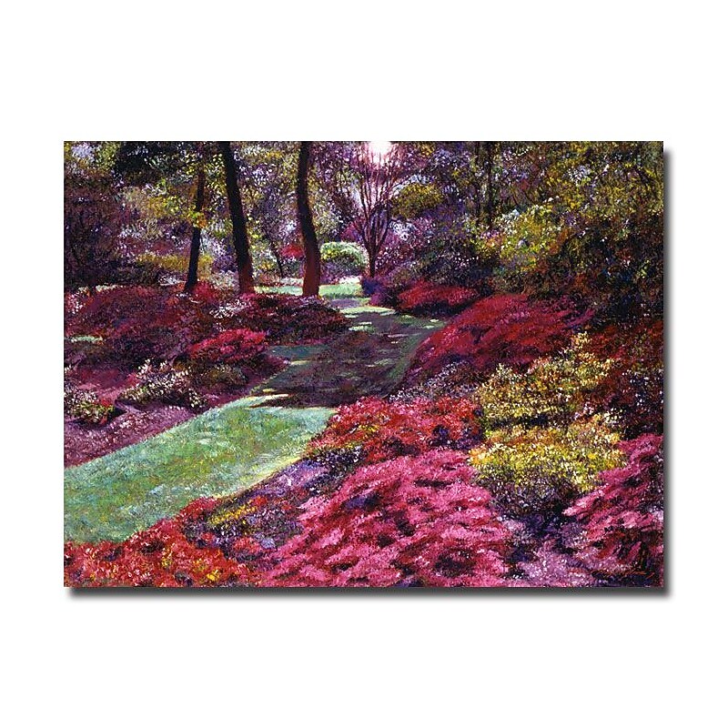 Trademark Fine Art 'Azalea Park' 35" x 47" Canvas Art image 1