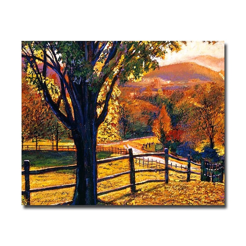 Trademark Fine Art 'Autumn Fire Colors' 18" x 24" Canvas Art image 1