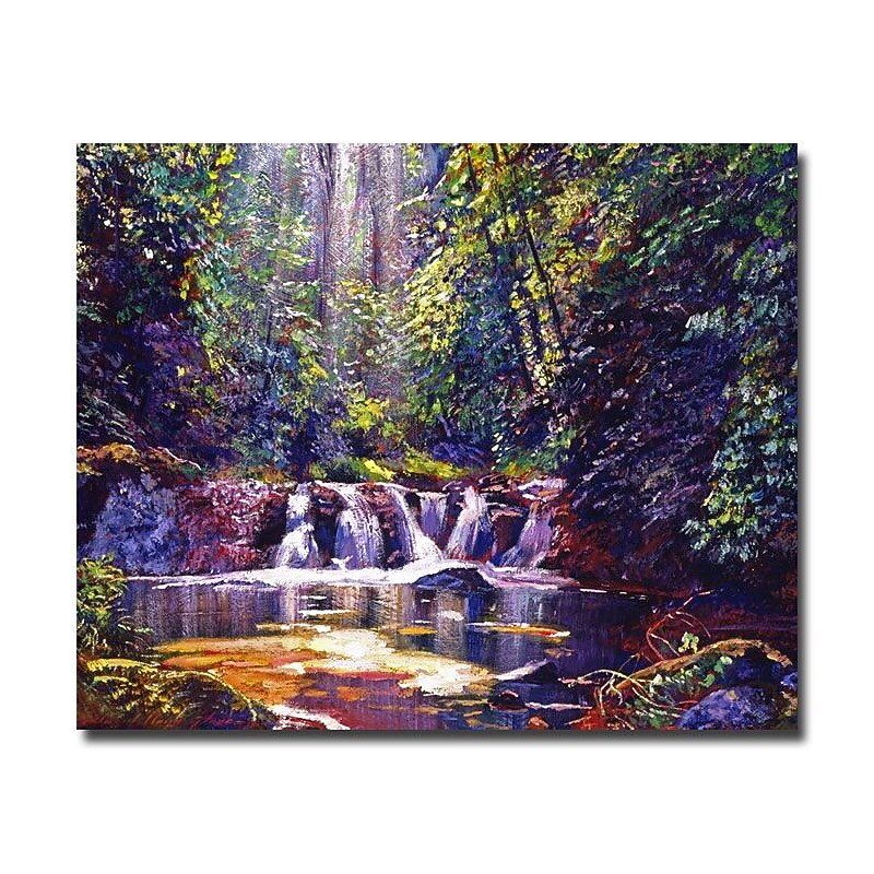 Trademark Fine Art 'Foaming Water Forest' 35" x 47" Canvas Art image 1