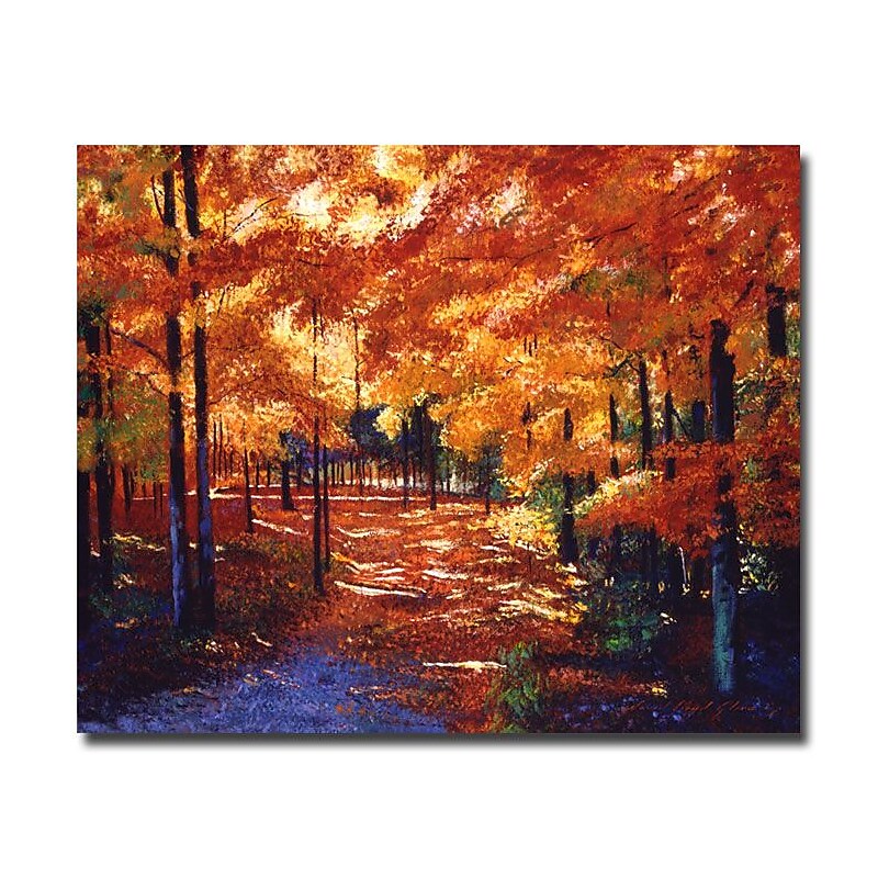 Trademark Fine Art 'Magical Forest' 35" x 47" Canvas Art image 1