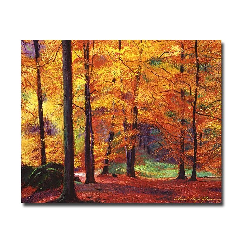 Trademark Fine Art 'Autumn Serenity' 35" x 47" Canvas Art image 1