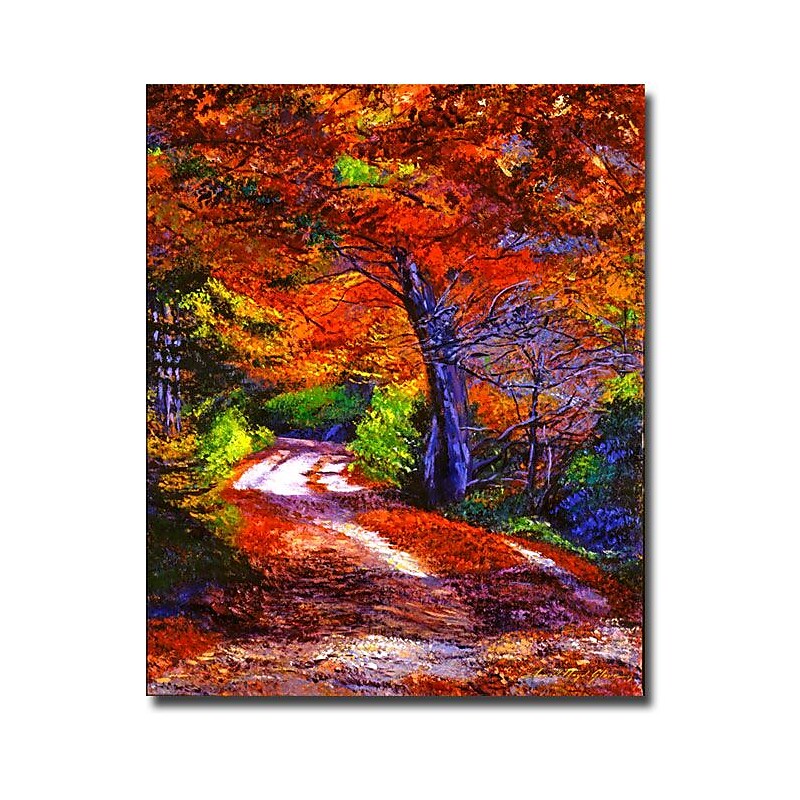 Trademark Fine Art 'Sunlight Through the Trees' 18" x 24" Canvas Art image 1