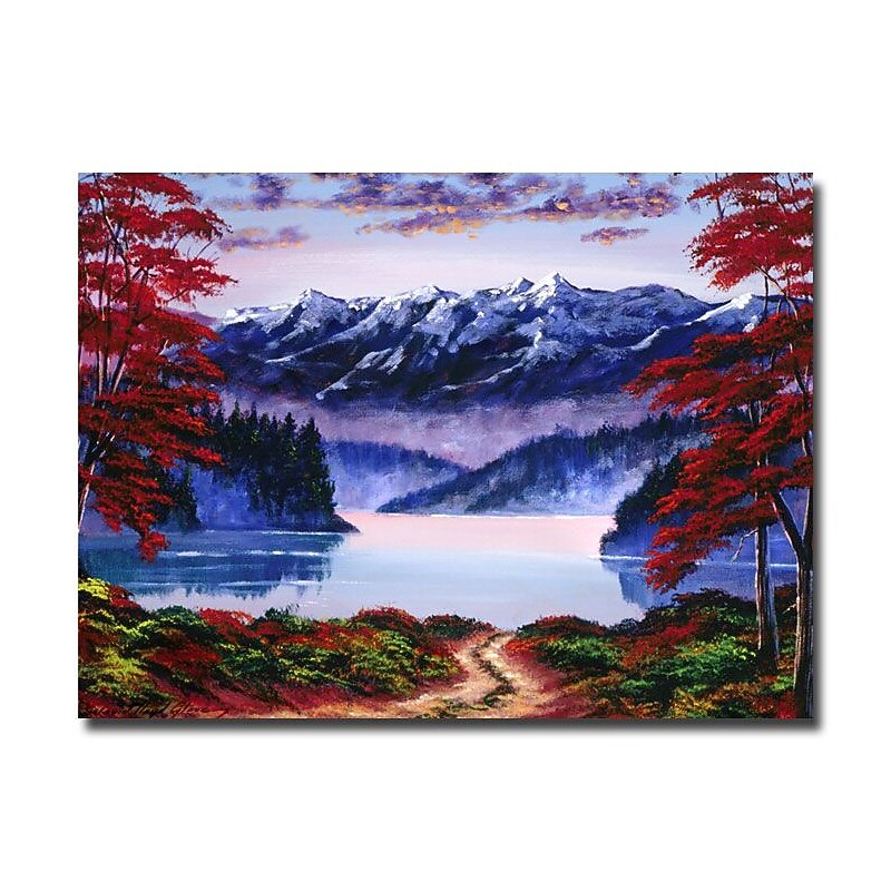 Trademark Fine Art 'Morning Glory' 35" x 47" Canvas Art image 1