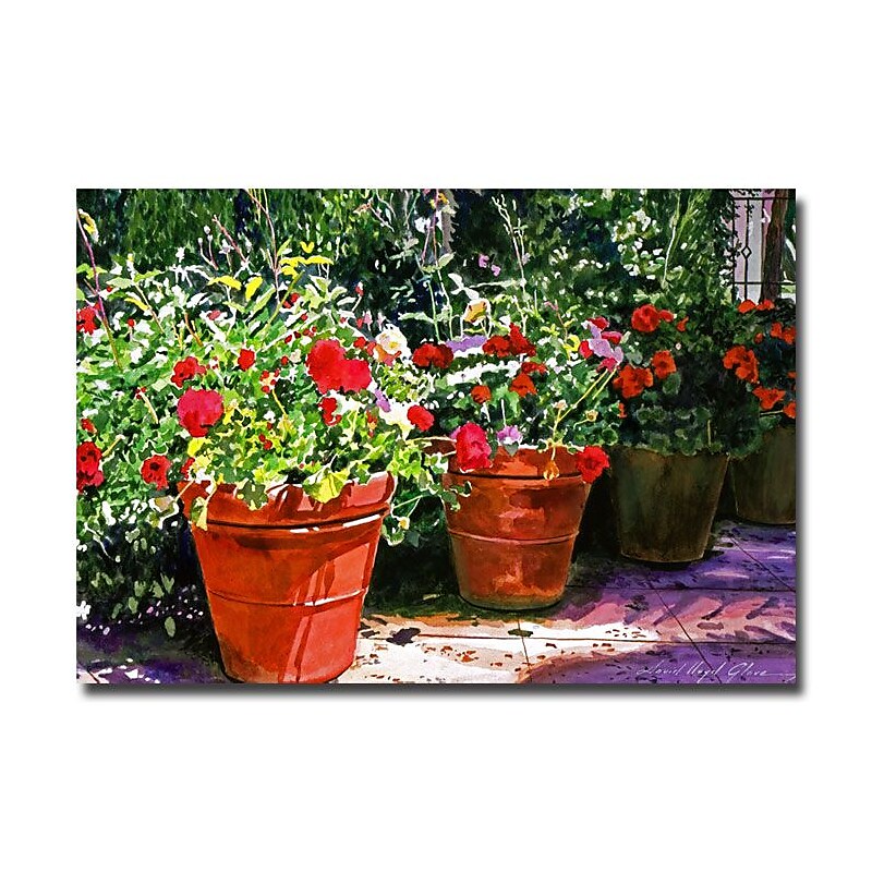 Trademark Fine Art 'Beverly HIlls Terra Cotta' 16" x 24" Canvas Art image 1