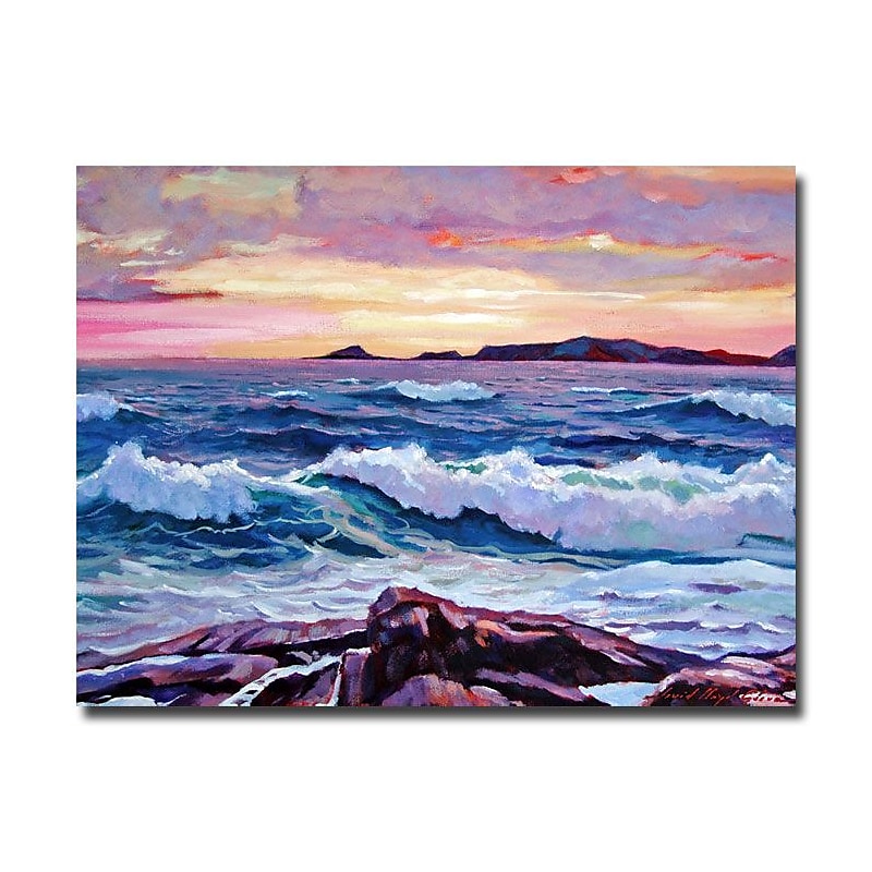 Trademark Fine Art 'California Sunset' 24" x 32" Canvas Art image 1