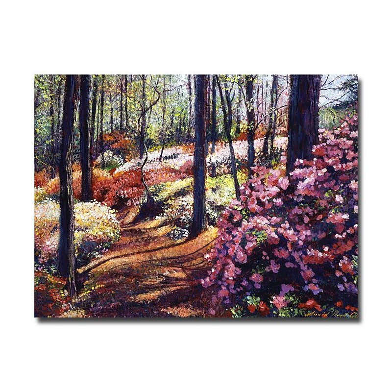 Trademark Fine Art 'Azalea Forest' 24" x 32" Canvas Art image 1