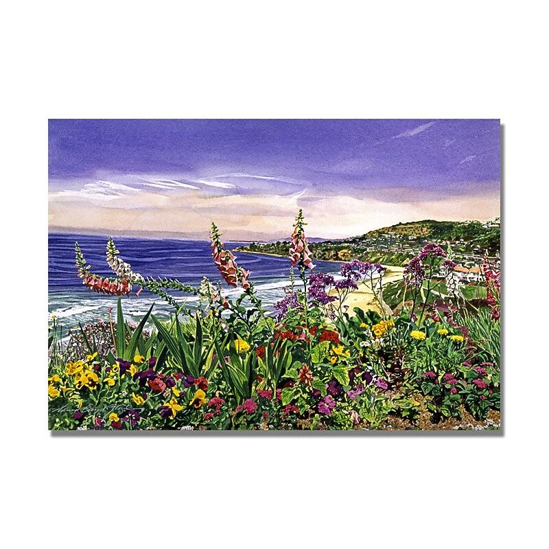 Trademark Fine Art 'Laguna Niguel Garden' 30" x 47" Canvas Art image 1