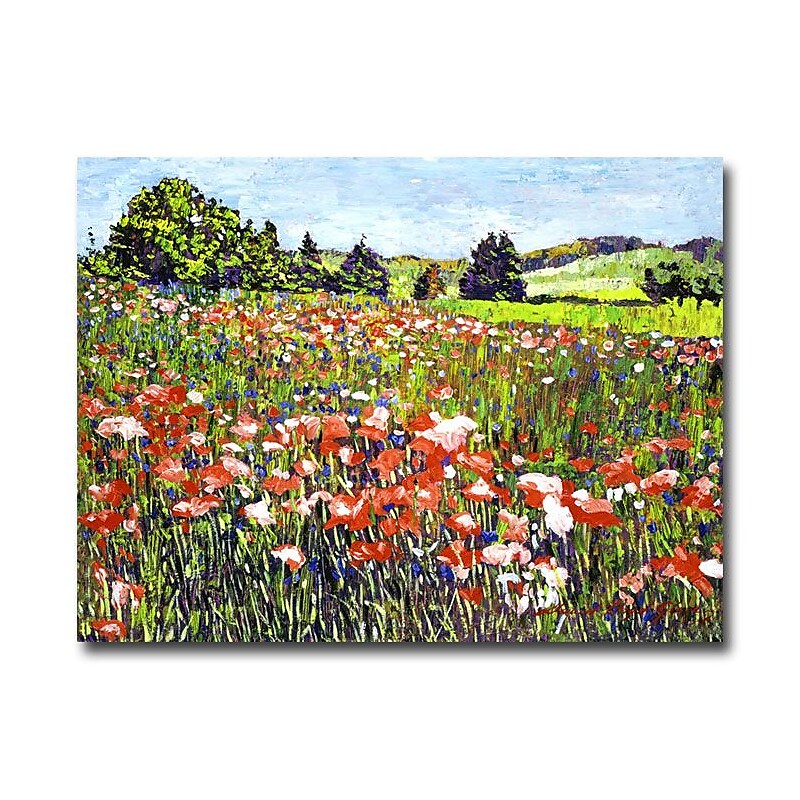 Trademark Fine Art 'Poppy Fields of France' 18" x 24" Canvas Art image 1
