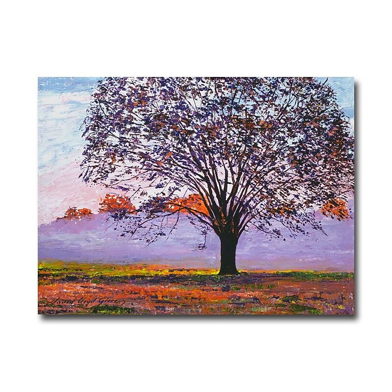 Trademark Fine Art 'Majestic Tree in Morning Mist' 35" x 47" Canvas Art image 1
