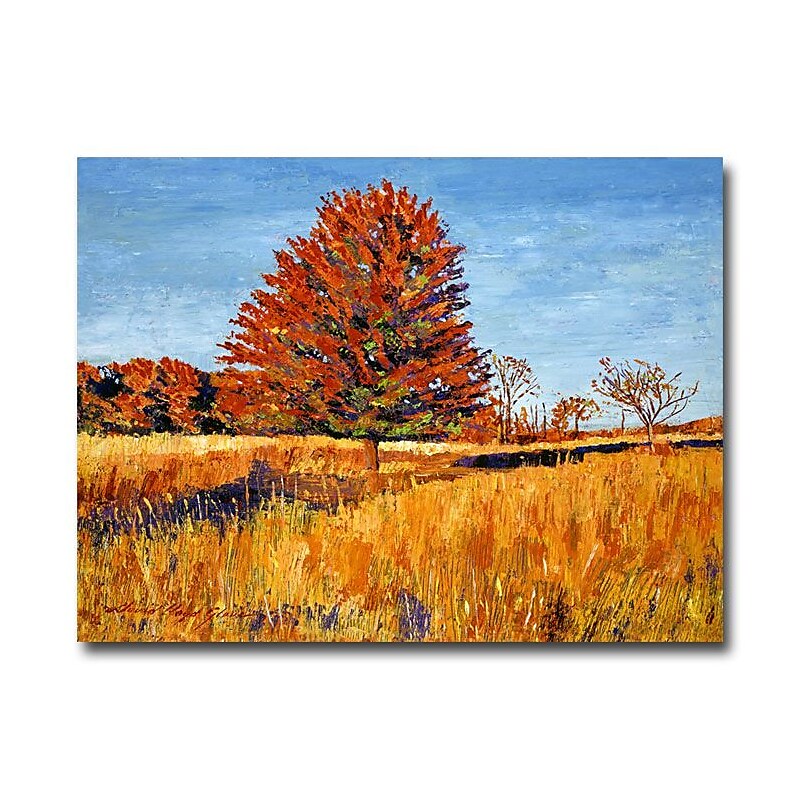Trademark Fine Art 'Reflections of Sunset Light' 18" x 24" Canvas Art image 1