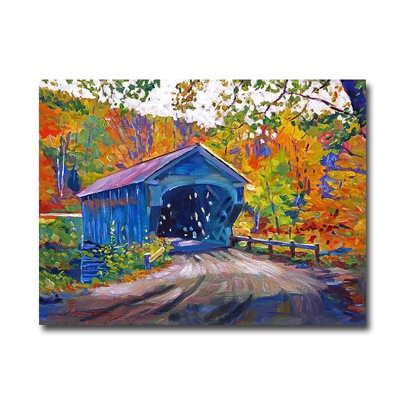 Trademark Fine Art 'Fall Comes to Downer VT' 26" x 32" Canvas Art image 1