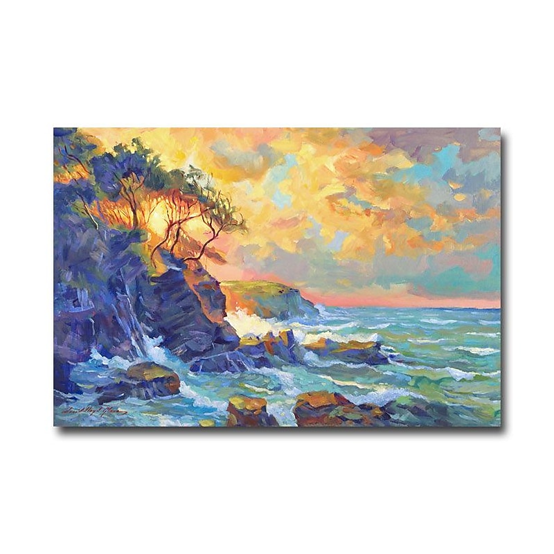 Trademark Fine Art 'Pacific Dawn' 22" x 32" Canvas Art image 1