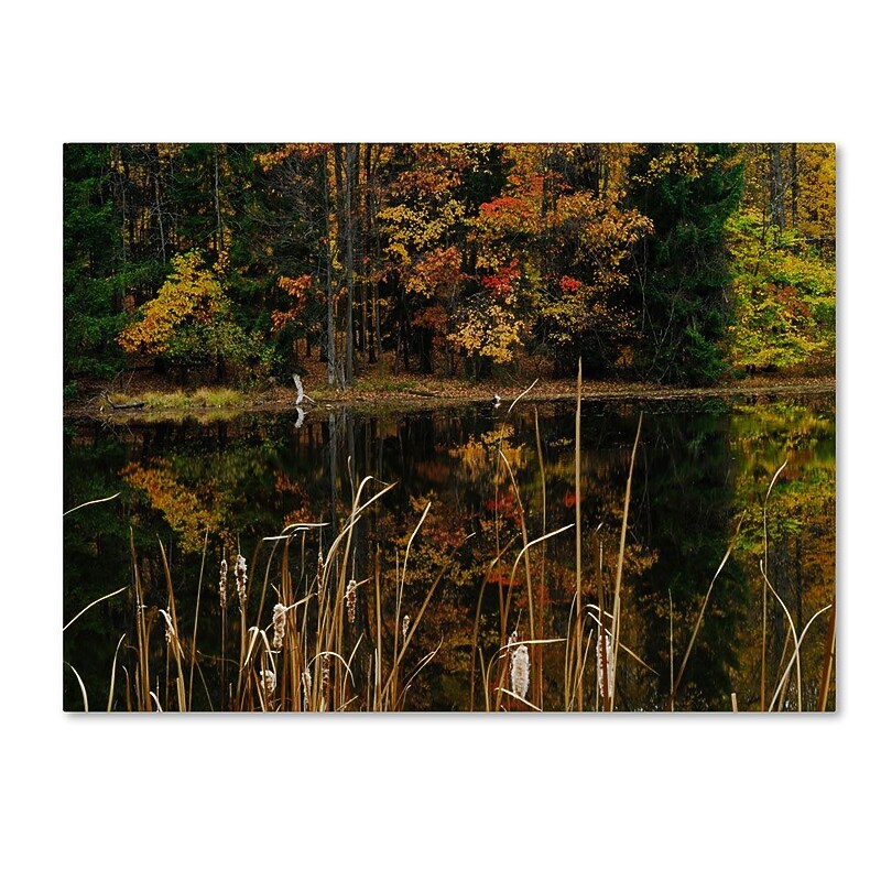 Trademark Fine Art 'Beautiful Memory' 16" x 24" Canvas Art image 1