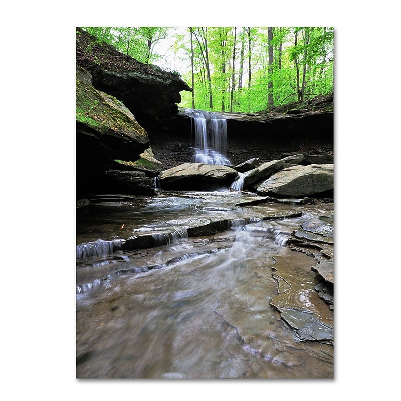 Trademark Fine Art 'Blue Hen Falls in Spring' 22" x 32" Canvas Art image 1