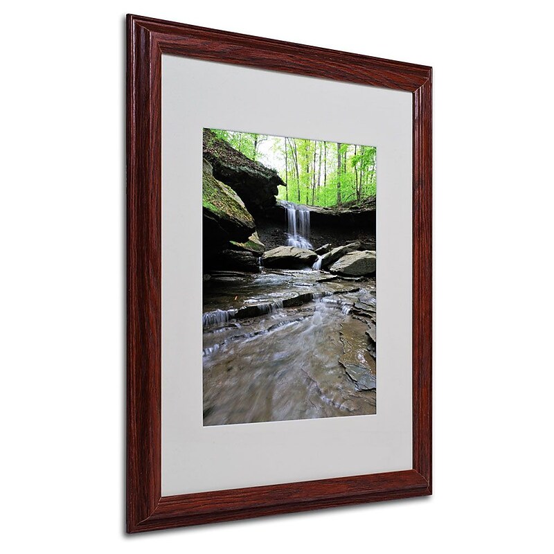 Trademark Fine Art 'Blue Hen Falls in Spring' 16" x 20" Wood Frame Art image 1