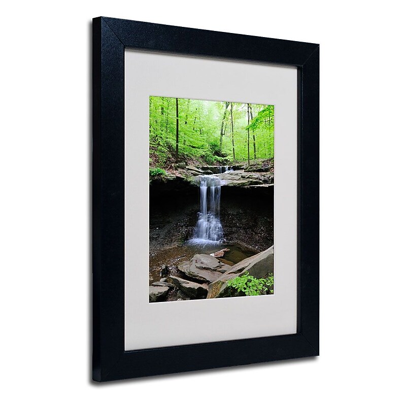 Trademark Fine Art 'Blue Hen Falls' 11" x 14" Black Frame Art image 1