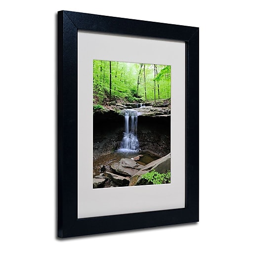 Trademark Fine Art 'Blue Hen Falls' 11 Trademark Fine Art 'Blue Hen Falls' 11