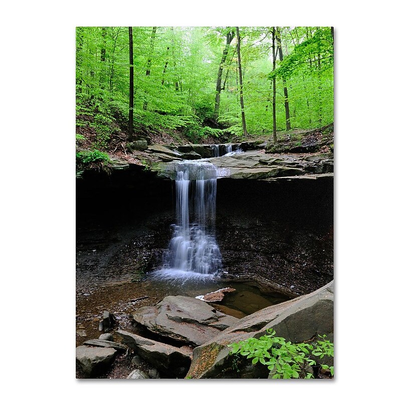 Trademark Fine Art 'Blue Hen Falls' 18" x 24" Canvas Art image 1