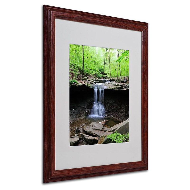 Trademark Fine Art 'Blue Hen Falls' 16" x 20" Wood Frame Art image 1