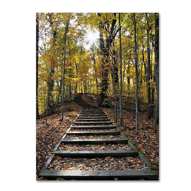 Trademark Fine Art 'Fall Stairway 2' 16" x 24" Canvas Art image 1