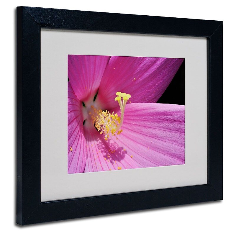 Trademark Fine Art 'Inside a Pink Hibiscus' 11" x 14" Black Frame Art image 1