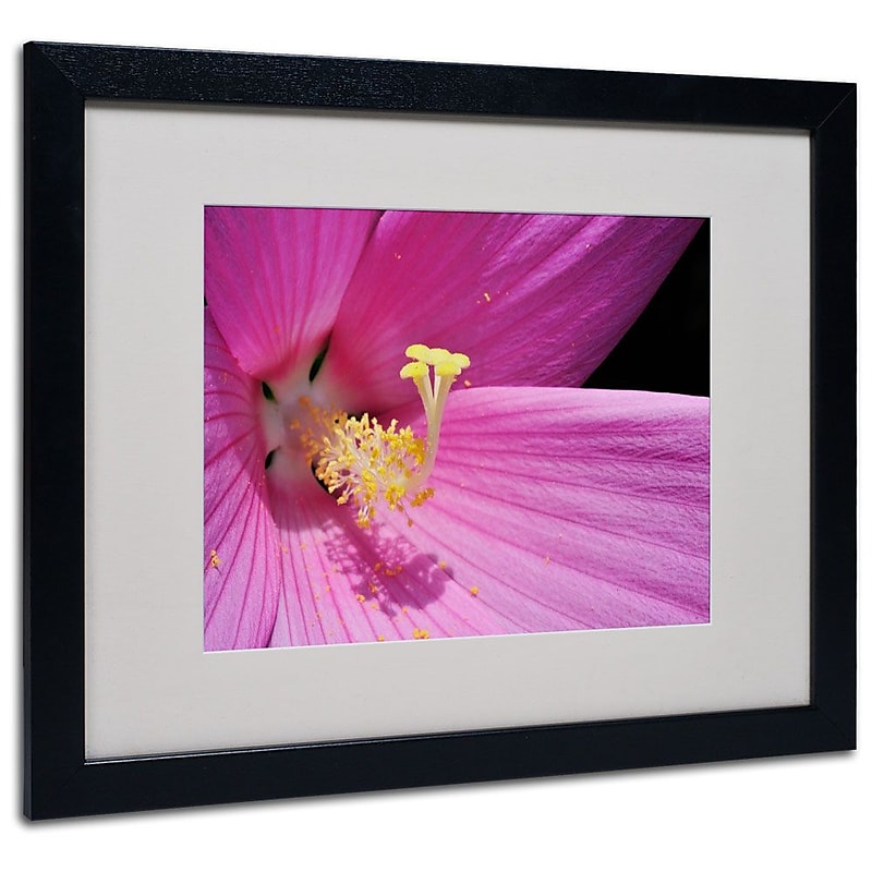 Trademark Fine Art 'Inside a Pink Hibiscus' 16" x 20" Black Frame Art image 1