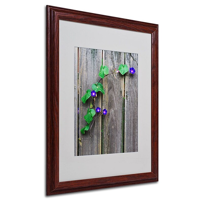 Trademark Fine Art 'Morning Glory Fence' 16" x 20" Wood Frame Art image 1