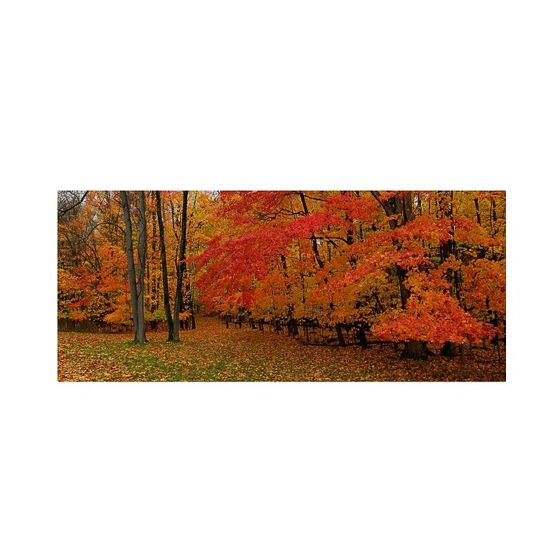 Trademark Fine Art 'Ohio Autumn' 10" x 19" Canvas Art image 1