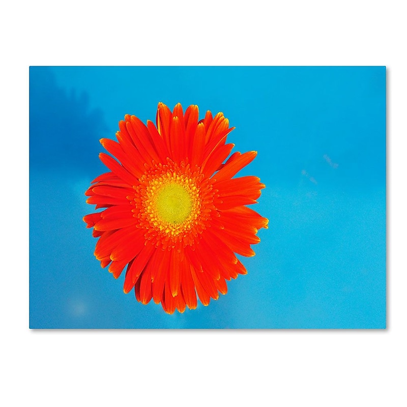 Trademark Fine Art 'Orange and Blue' 16" x 24" Canvas Art image 1