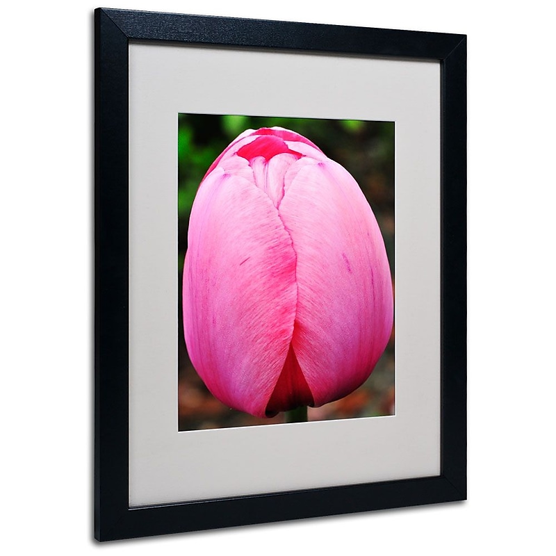 Trademark Fine Art 'Perfect Pink Tulip' 16" x 20" Black Frame Art image 1