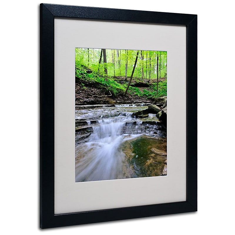 Trademark Fine Art 'Valley Stream' 16" x 20" Black Frame Art image 1