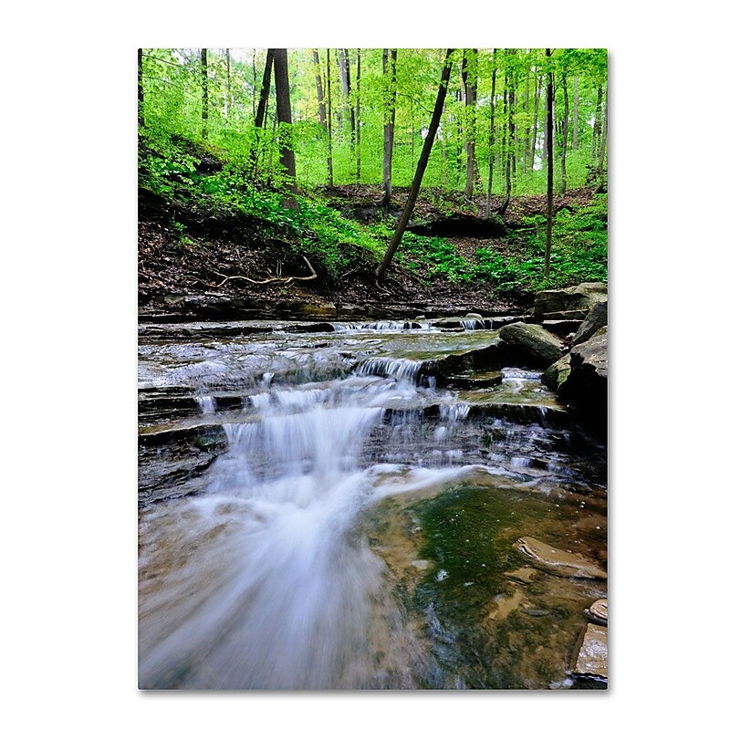 Trademark Fine Art 'Valley Stream' 14" x 19" Canvas Art image 1