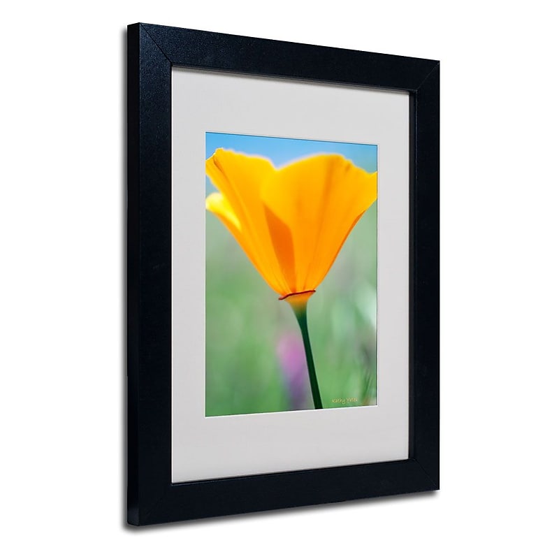Trademark Fine Art 'California Poppy Closeup' 11" x 14" Black Frame Art image 1