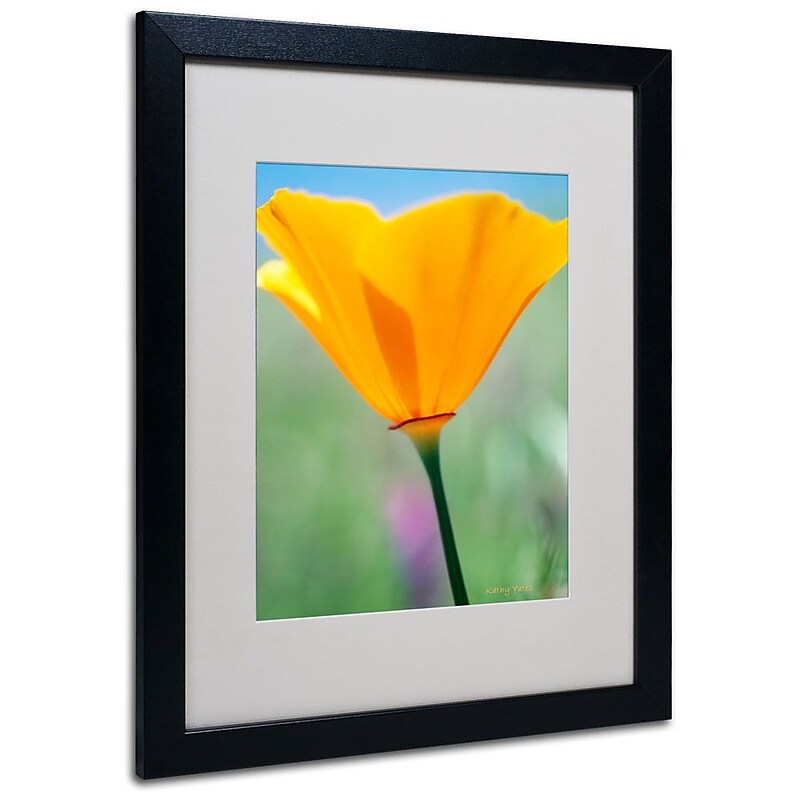 Trademark Fine Art 'California Poppy Closeup' 16" x 20" Black Frame Art image 1