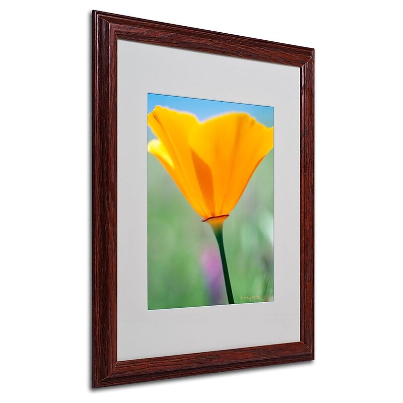 Trademark Fine Art 'California Poppy Closeup' 16" x 20" Wood Frame Art image 1