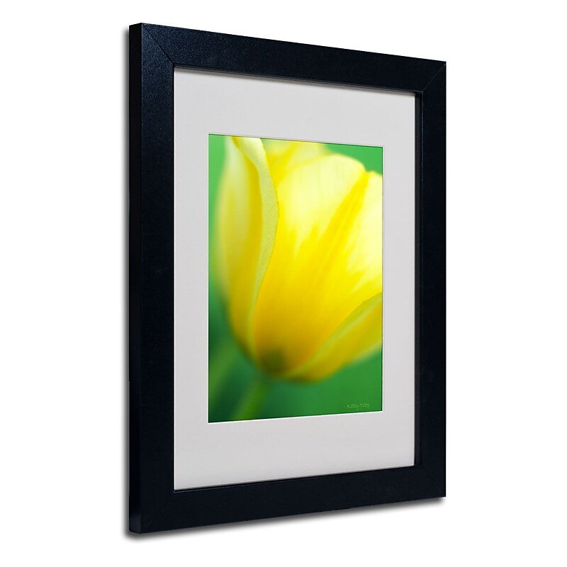 Trademark Fine Art 'Hint of a Tulip' 11" x 14" Black Frame Art image 1