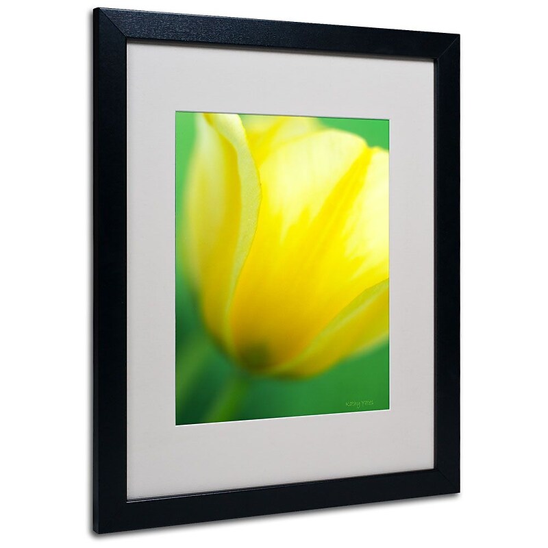 Trademark Fine Art 'Hint of a Tulip' 16" x 20" Black Frame Art image 1