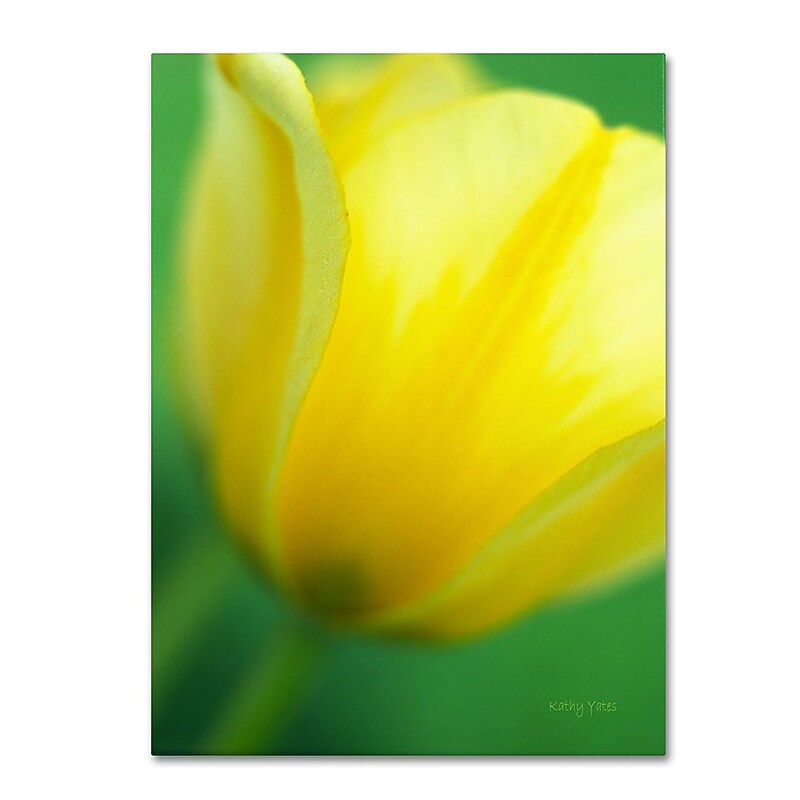 Trademark Fine Art 'Hint of a Tulip' 30" x 47" Canvas Art image 1